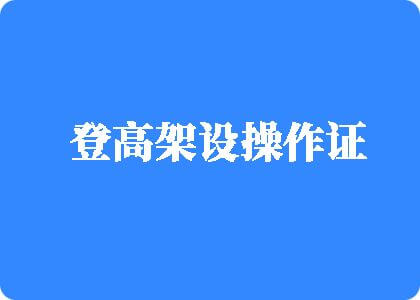 啊哦干我快点好痒哦骚逼艹登高架设操作证