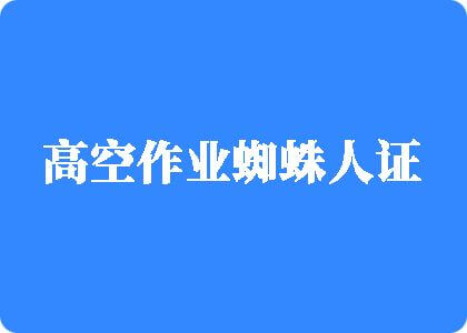 美女被人肏小鸡在线观看高空作业蜘蛛人证